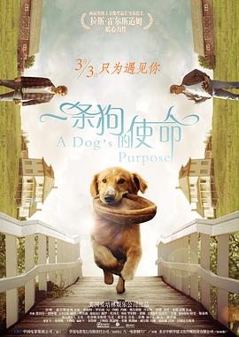 久久精品一区二区免费看