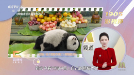我妻子的表姐们